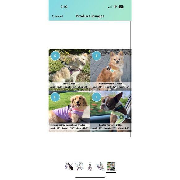 Gooby Simple Step in III Harness - Purple, Small - Small Dog Harness with Scratc - Picture 5 of 5